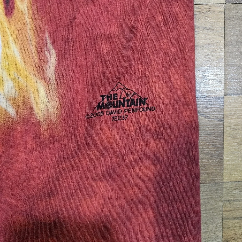 The Mountain David Penfound Flaming Skull T-Shirt Men’s XL 2005 Fire Graphic - Picture 5 of 8